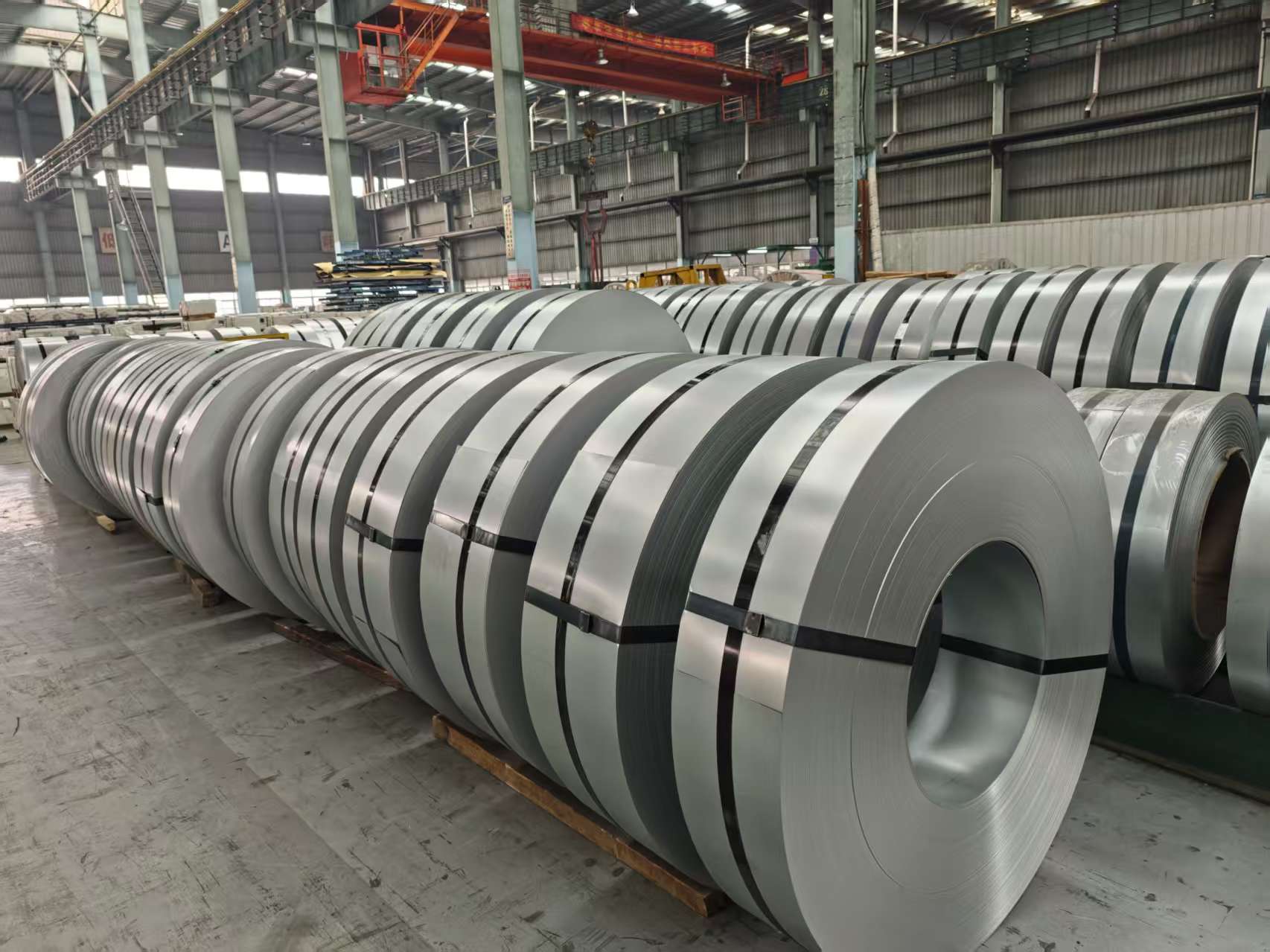 Galvanized Steel Coils