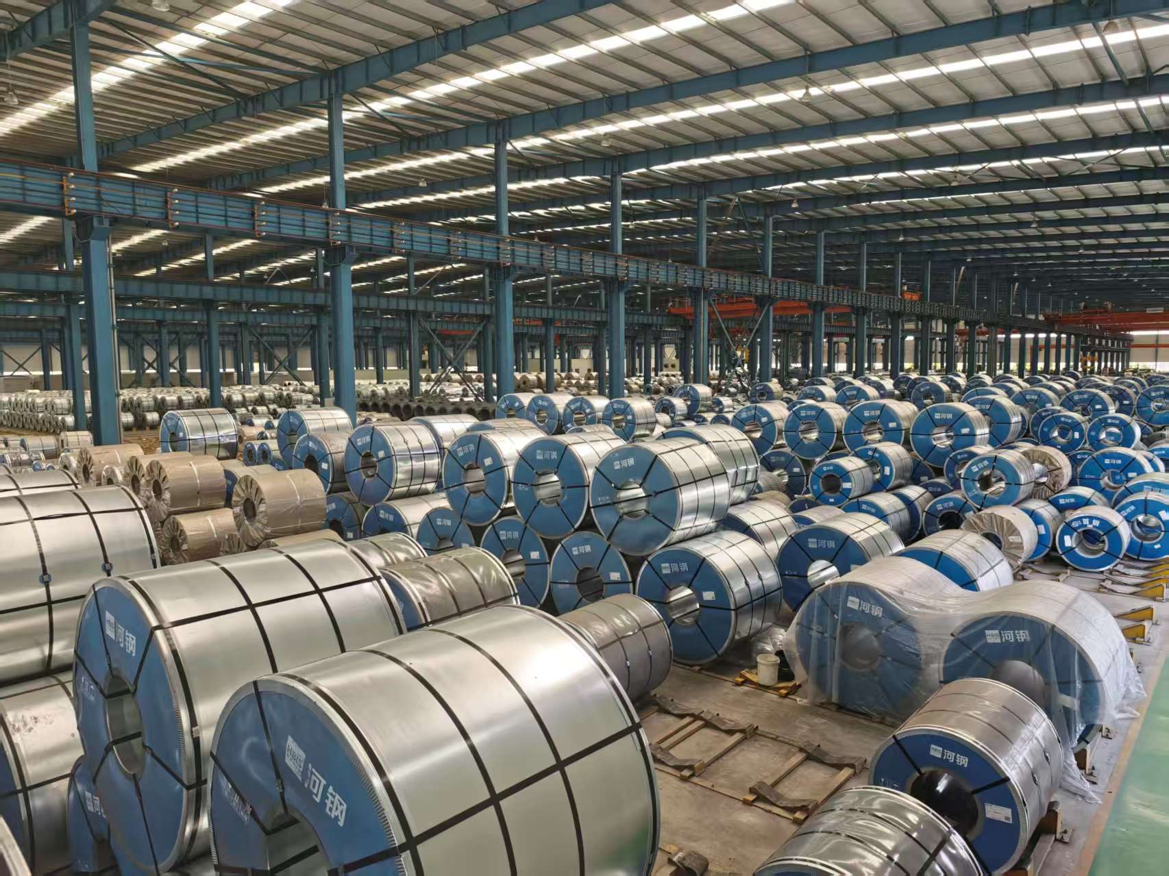 Galvanized Steel Coils