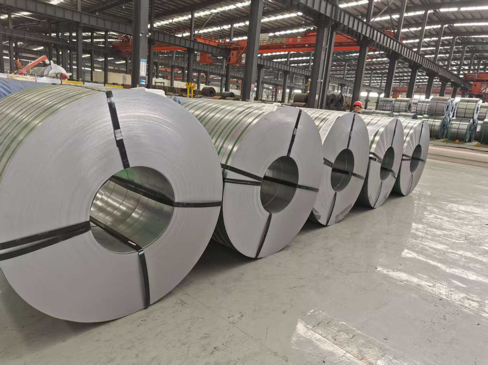 Galvanized Steel Coils
