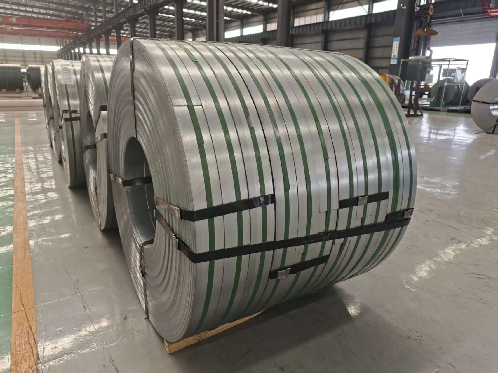 Galvanized Steel Coils